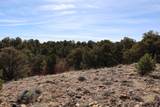  River Ridge Ranch Lot 134 - Photo 15