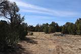  River Ridge Ranch Lot 134 - Photo 16