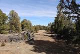  River Ridge Ranch Lot 134 - Photo 18