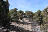 River Ridge Ranch Lot 134 - Photo 27