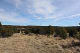  River Ridge Ranch Lot 134 - Photo 31