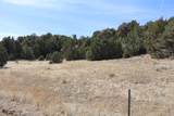  River Ridge Ranch Lot 134 - Photo 35