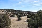  River Ridge Ranch Lot 134 - Photo 5