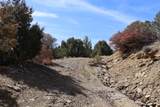  River Ridge Ranch Lot 134 - Photo 6