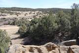  River Ridge Ranch Lot 134 - Photo 9