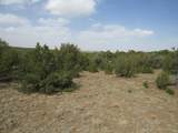 Lot 908 Los Vaqueros Circle - Photo 1