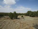 Lot 908 Los Vaqueros Circle - Photo 12