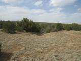 Lot 908 Los Vaqueros Circle - Photo 14