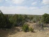 Lot 908 Los Vaqueros Circle - Photo 16