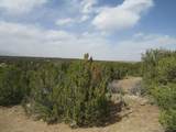 Lot 908 Los Vaqueros Circle - Photo 19