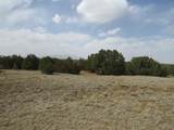Lot 908 Los Vaqueros Circle - Photo 4