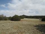 Lot 908 Los Vaqueros Circle - Photo 6