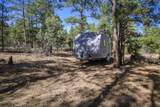 17990 King Rd - Photo 16