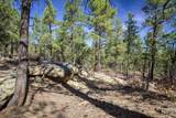 17990 King Rd - Photo 33