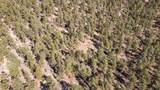 17990 King Rd - Photo 43