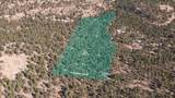 17990 King Rd - Photo 45