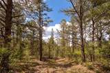 23490 Spirit Mountain - Photo 21