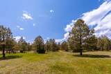 23490 Spirit Mountain - Photo 22