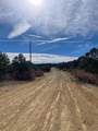 66 Tollerburg Rd - Photo 8