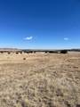 42762 Apishipa Trail - Photo 11