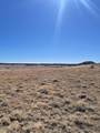 42762 Apishipa Trail - Photo 13