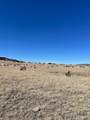 42762 Apishipa Trail - Photo 15