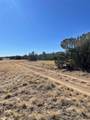 42762 Apishipa Trail - Photo 25