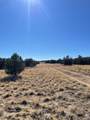 42762 Apishipa Trail - Photo 27