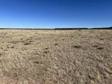 lot 75a River Ridge Ranch - Photo 16