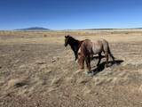 lot 75a River Ridge Ranch - Photo 8