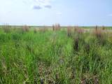 TBD County Road 37 - Photo 1