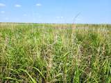 TBD County Road 37 - Photo 10