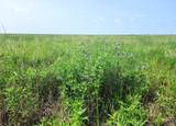 TBD County Road 37 - Photo 12