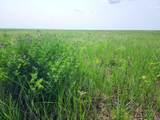TBD County Road 37 - Photo 13