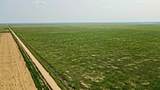 TBD County Road 37 - Photo 17