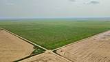 TBD County Road 37 - Photo 19