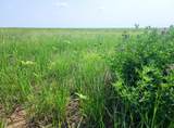 TBD County Road 37 - Photo 2