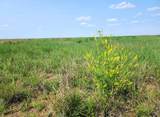 TBD County Road 37 - Photo 3