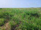 TBD County Road 37 - Photo 6