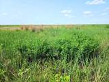 TBD County Road 37 - Photo 8