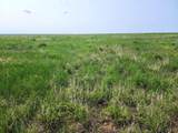 TBD County Road 37 - Photo 9