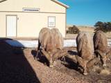 190 Aspen Point Drive - Photo 43