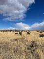 TBD County Road 40 - Photo 9