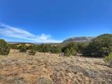 TBD Country Road 572 - Photo 11