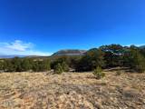 TBD Country Road 572 - Photo 12