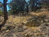 TBD Country Road 572 - Photo 13