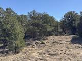 TBD Country Road 572 - Photo 15