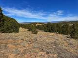 TBD Country Road 572 - Photo 3