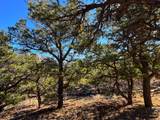 TBD Country Road 572 - Photo 7