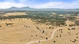 TBD County Road 521 - Photo 1